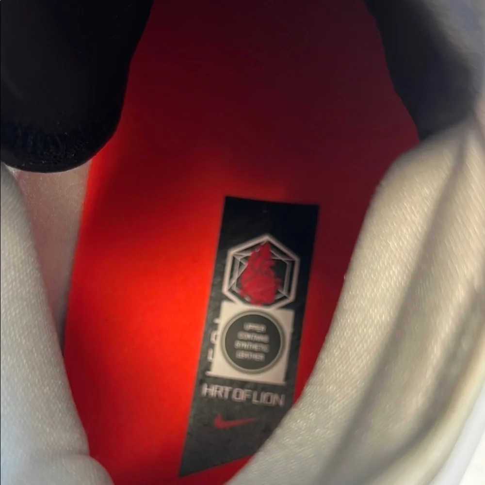 Nike LeBron XVIII 18 Low Heart of Lion Black‎ White Crimson